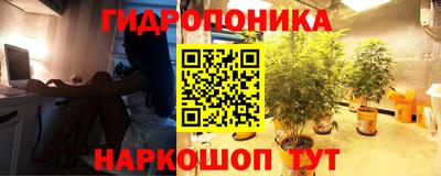 трава Кунгур